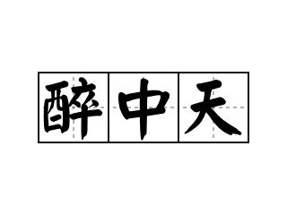 中天意思|中天 的意思、解釋、用法、例句